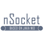 nSocket logo
