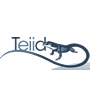 Teiid 9.2.2发布，数据虚拟化系统