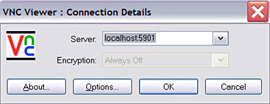 在服务器中输入 localhost5901