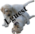 http://lguest.ozlabs.org/lguest-logo.png