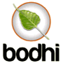 轻量级 Linux 发行版 Bodhi Linux