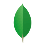 MongoDB 3.6.3 发布，分布式文档存储数据库