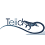 Teiid 10.1 发布，数据虚拟化系统